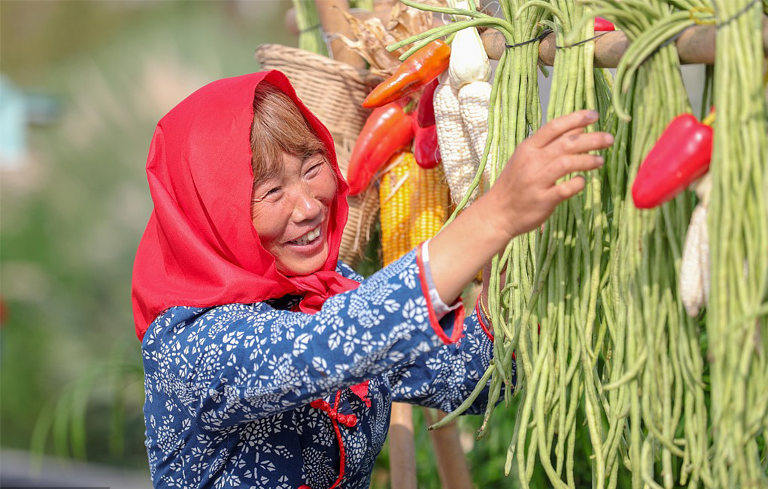 China's first Farmers' Harvest Festival celebrated around country
