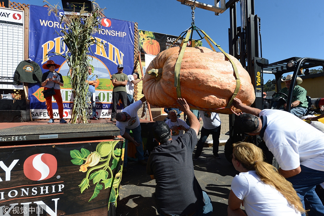 California holds 45th Half Moon Bay Pumpkin WeighOff competition