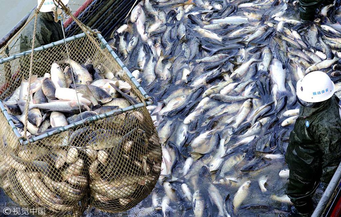 Largest artificial lake in Asia begins the winter fishing season ...