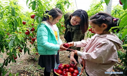 Over 7000 greenhouses set up in Caofeidian District of Tangshan ...