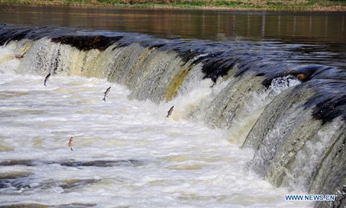 Scenery of flying fish seen over waterfall on Venta River in Latvia ...