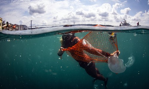 Bosporus clean-up - Global Times