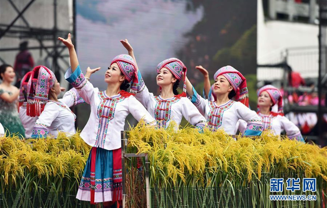 Фестиваль культуры цели. Ganunda фестиваль. Culture Festival. Büyükçekmece Kültür Park фестиваль культур. Зелкультура фестиваль фото.