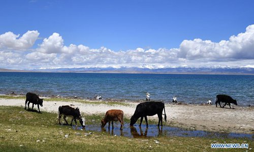 Scenery of Mapam Yumco Lake in southwest China's Tibet - Global Times