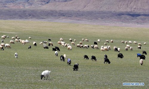 Tibet's Nyima County attracts tourists with fresh air, diverse wild ...