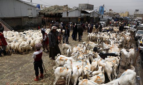 Livestock market in Sanaa, Yemen - Global Times