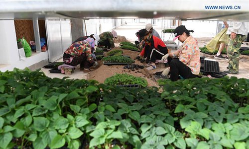 Greenhouses set up in desert to develop eco agriculture in NW China's ...