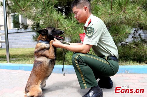 Emotional armed police retirement ceremony in Ningxia - Global Times