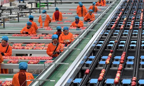 Henan's Luoning County develops apple planting industry to help locals ...