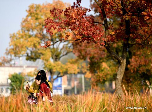 Autumn scenery of Dabieshan Mountain in Xinyang, China's Henan - Global ...