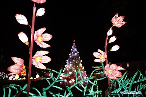 2nd New York City Winter Lantern Festival kicks off - Global Times