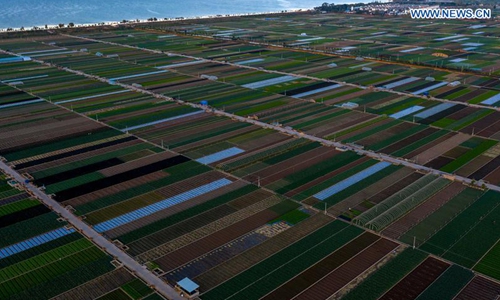 View of Tonghai county in Yuxi, China's Yunnan Province - Global Times