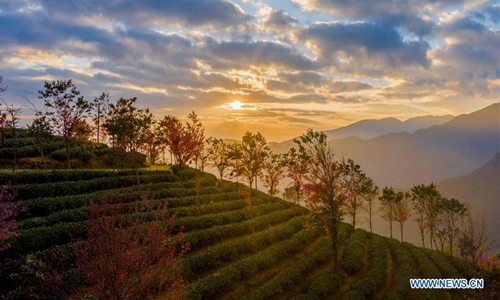 Scenery of cherry valley on Wuliang Mountain in SW China's Yunnan ...