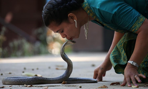 Animals at Zoological Gardens in Yangon, Myanmar - Global Times