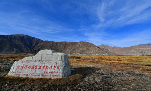 Scenery of Lhalu wetland in Lhasa, SW China's Tibet - Global Times