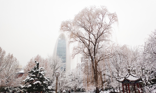 Beijing embraces first snowfall of 2020 - Global Times