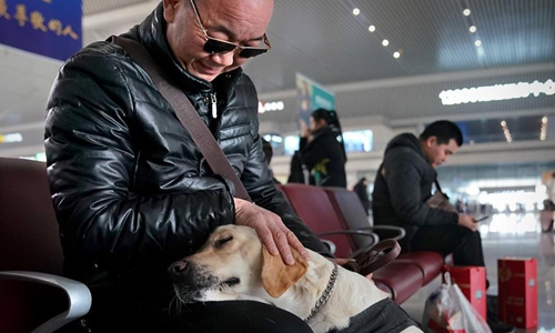 Visually impaired passenger and his guide dog - Global Times