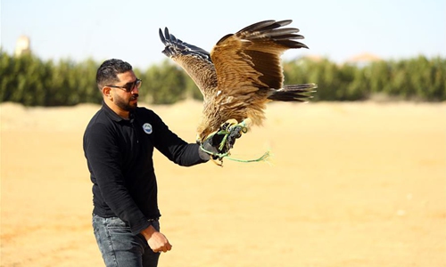 Falcon show held in Giza province, Egypt - Global Times