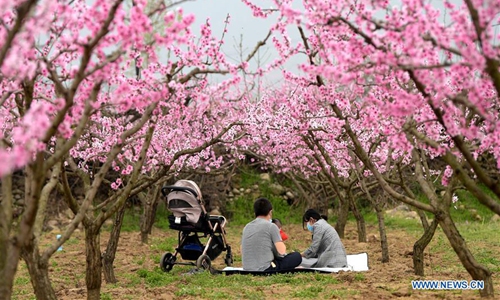 In pics: peach blossoms at peach garden in Xi'an, Shaanxi - Global Times