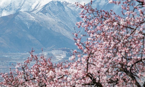 Spring scenery in Lhasa, Tibet - Global Times