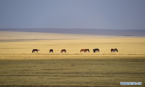 Spring scenery of Hulun Buir Grasslands in Inner Mongolia - Global Times