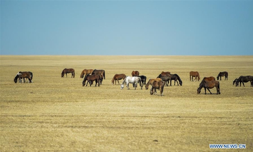 Spring scenery of Hulun Buir Grasslands in Inner Mongolia - Global Times