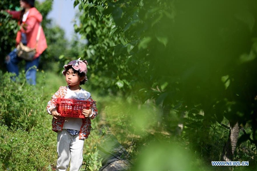 East China township promotes rural tourism to alleviate poverty ...