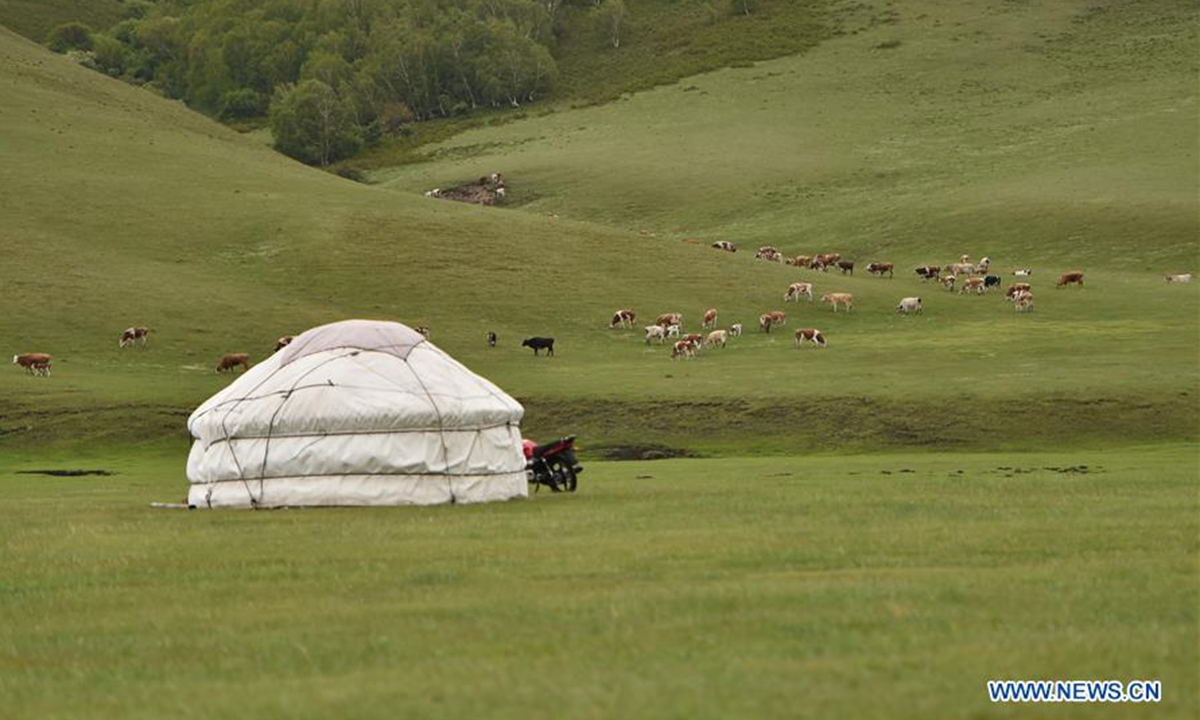 View of Ar Horqin grassland in Chifeng, Inner Mongolia - Global Times