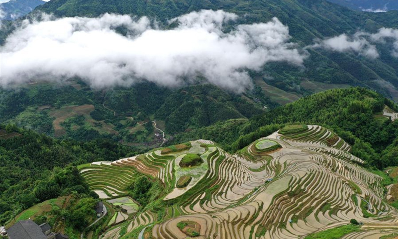 In pics: Longji terraced fields in Guangxi - Global Times