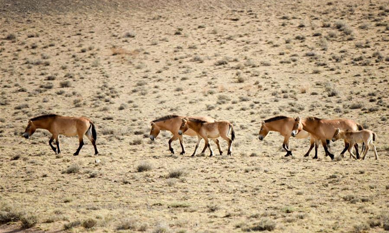 In pics: Kalamayli Nature Reserve in Xinjiang - Global Times