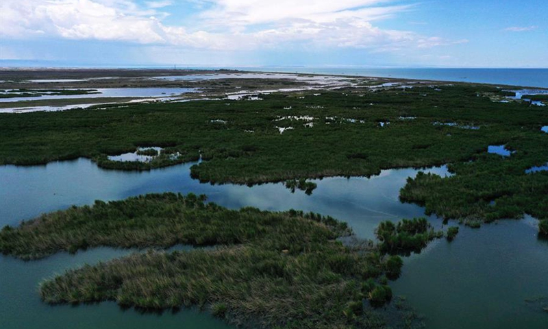 View of Ulungur Lake National Wetland Park in Xinjiang - Global Times