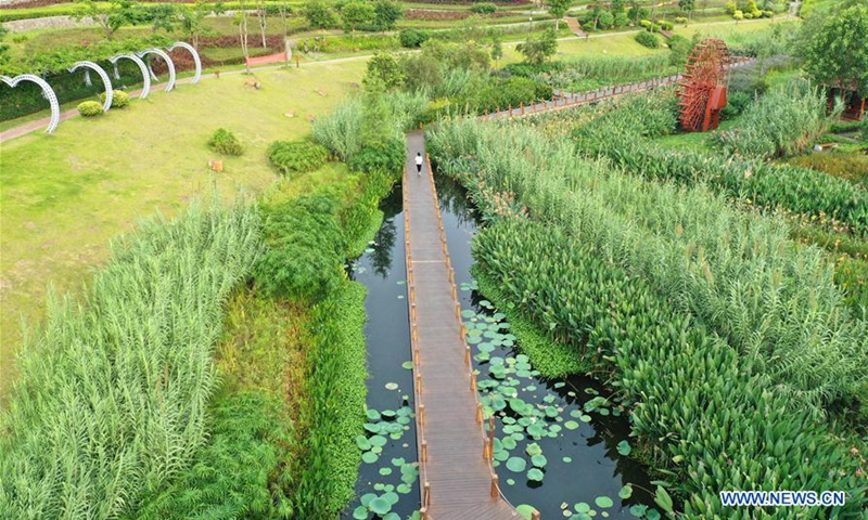 Nakao River wetland park in Nanning, S China - Global Times