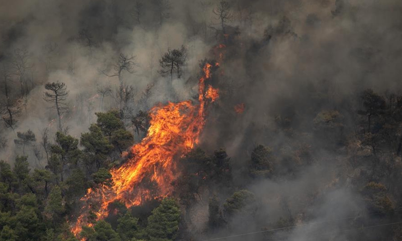 Greek firemen battle wildfire in southern Greece - Global Times