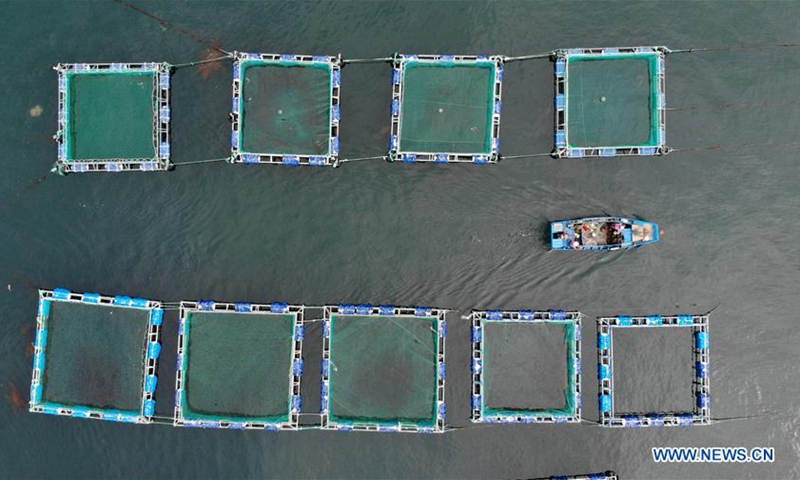 In pics: aquafarms near Nanhuangcheng Island of Yantai, E China ...