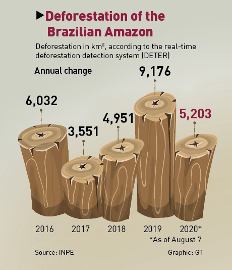 As Amazon Burns Farmers Defend Lighting Fires To Clear Land Global Times