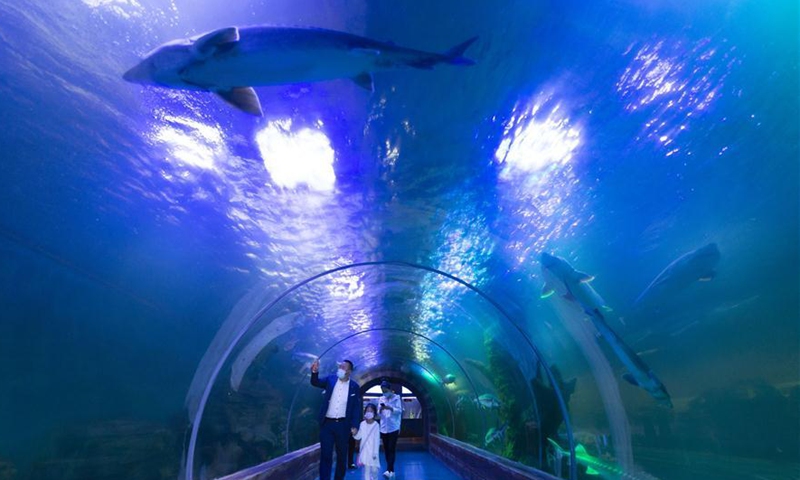 Tourists visit fish culture museum in Heilongjiang - Global Times