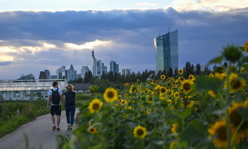 People walk by a sunflower field at a rural area in Frankfurt, Germany, on Aug. 23, 2020. (Xinhua/Lu Yang)