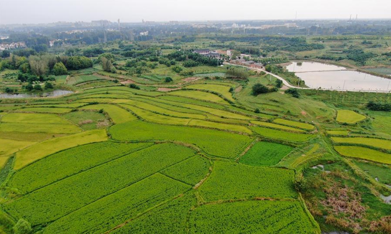 Scenery in Huaidian Township, C China - Global Times