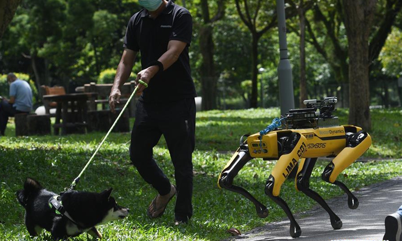 robot dog with leash