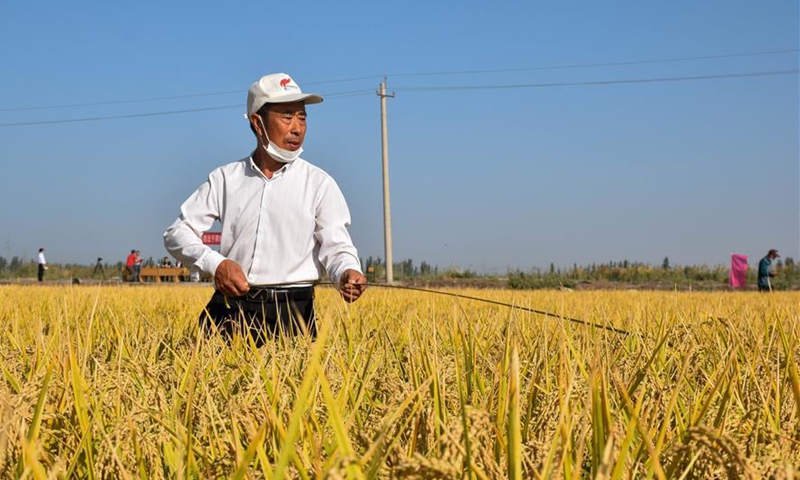 Public yield monitoring conducted in saline soil rice paddies in ...