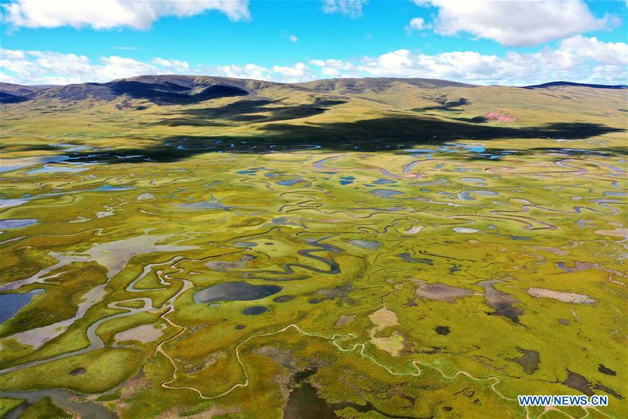 Aerial view of Lhato wetland in Qamdo, Tibet - Global Times