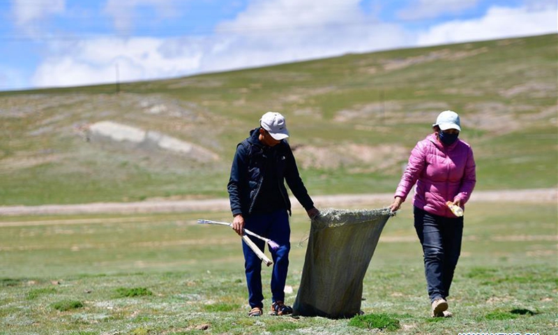 People take efforts to maintain ecological security in Qinghai - Global ...