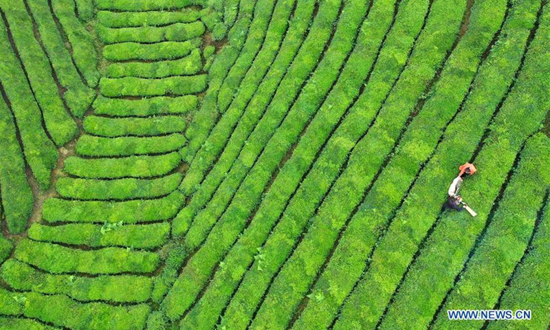 Autumn view across China - Global Times