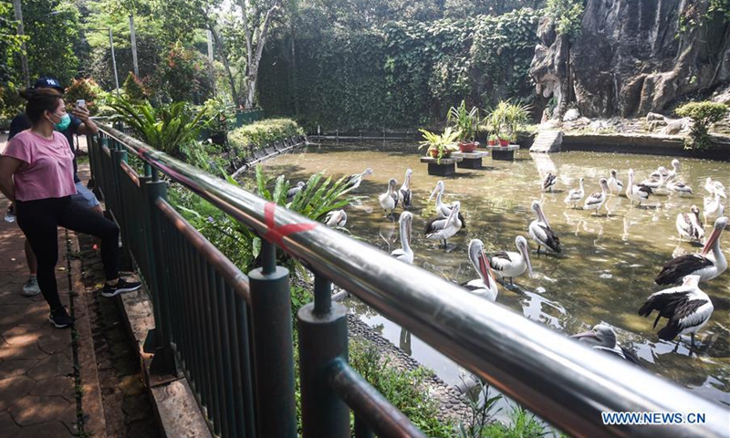 Ragunan Zoo reopens to public in Jakarta, Indonesia - Global Times