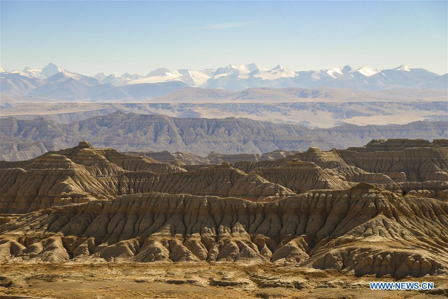 Landscape of earth forest in Tibet - Global Times