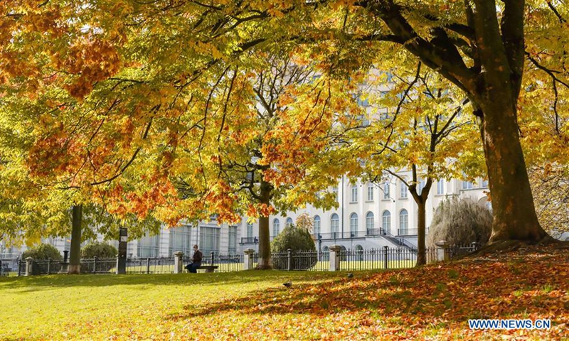 Autumn scenery in Brussels, Belgium - Global Times