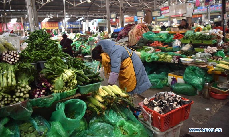 Vegetables no more rarities in Tibet thanks to modern agriculture ...