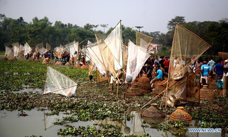 Highlights of fish hunting festival in Sylhet, Bangladesh - Global Times