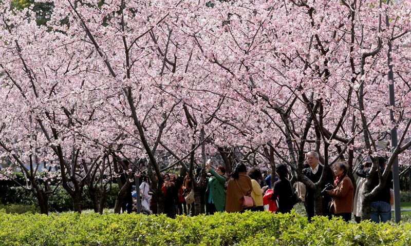 Shanghai residents enjoy beauty of Spring - Global Times