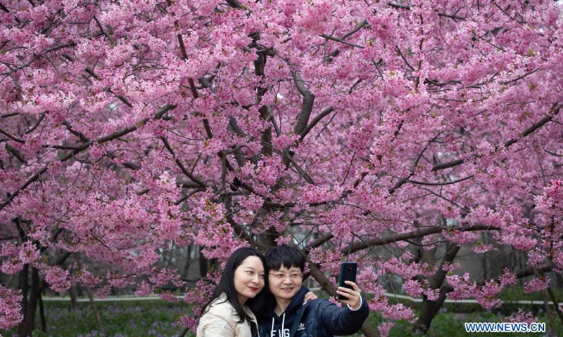 Tourists take selfies at Wuhan East Lake Cherry Blossom Park in Wuhan, central China's Hubei Province, Feb. 27, 2021. The cheery blossom park opened to public on Saturday as the East Lake Cherry Blossom Festival kicked off on the same day. (Photo: Xinhua)